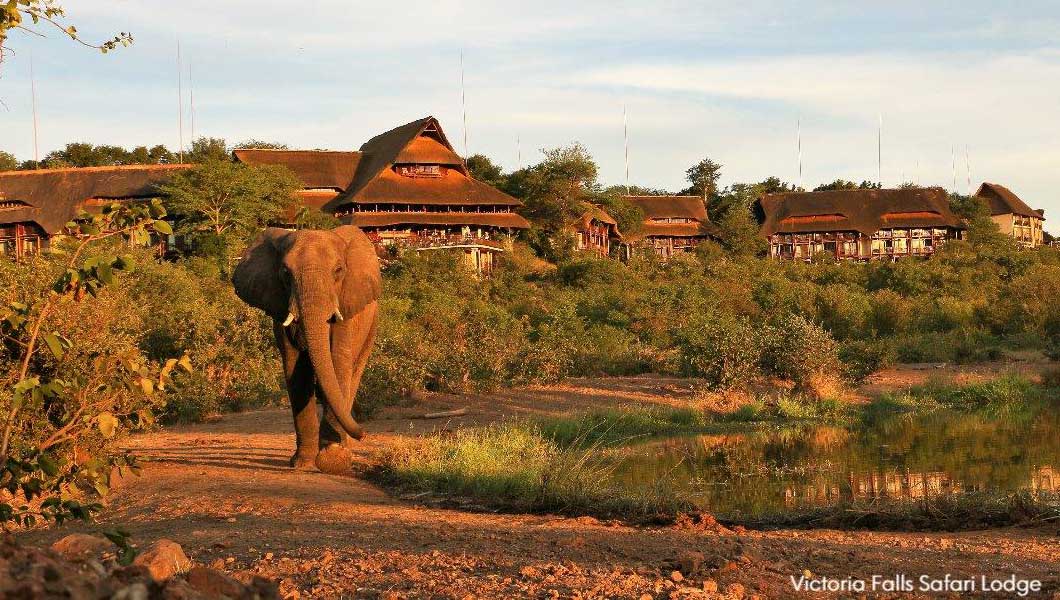 Victoria Falls Safari Lodge Victoria Falls Safari Lodge